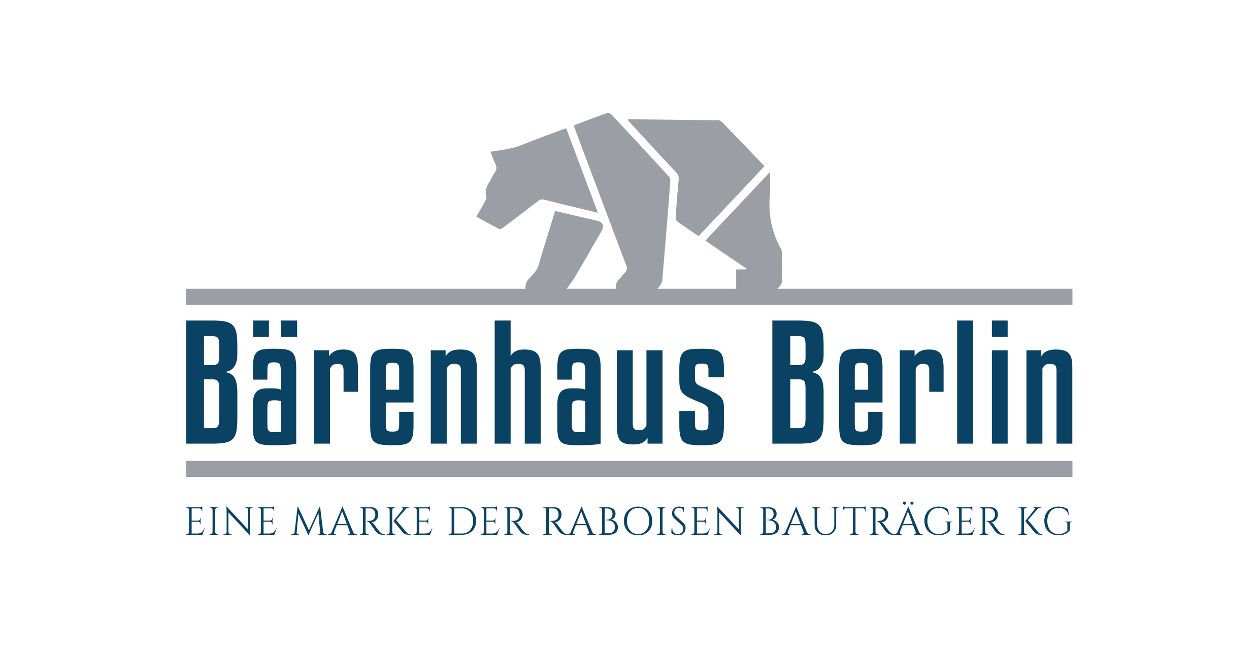 Webdesign Agentur, Webentwicklung